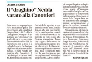 articolo NEDDA 2